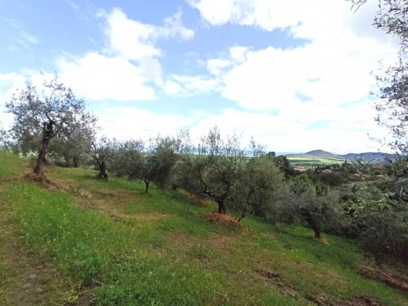 immagine annuncio 5 di 9