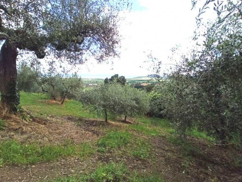 immagine annuncio 8 di 9