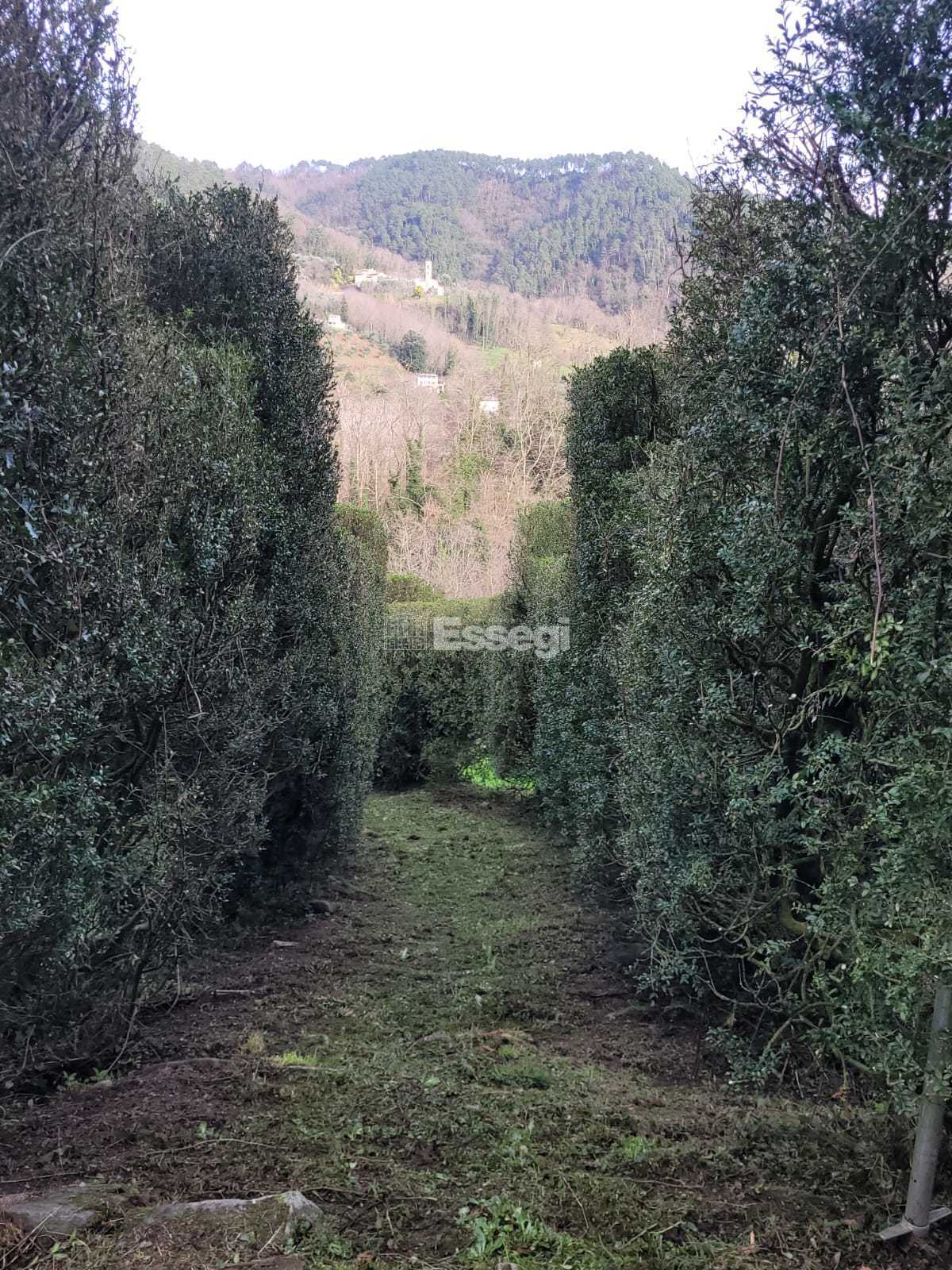  - foto 35