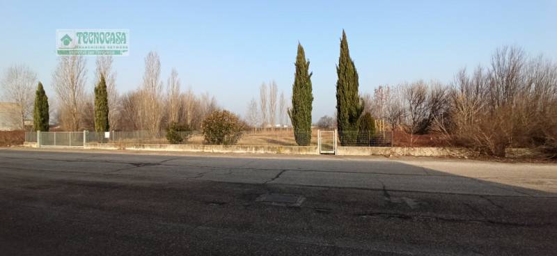 immagine annuncio 1 di 8