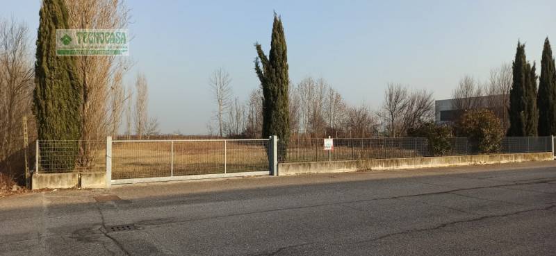 immagine annuncio 2 di 8