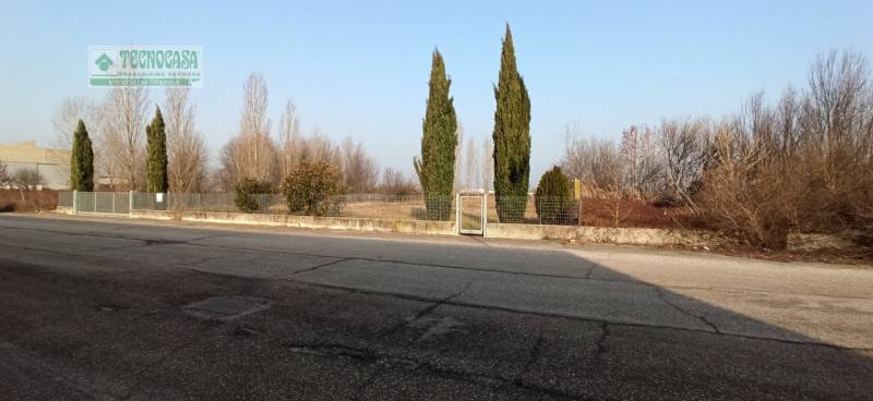 immagine annuncio 3 di 8