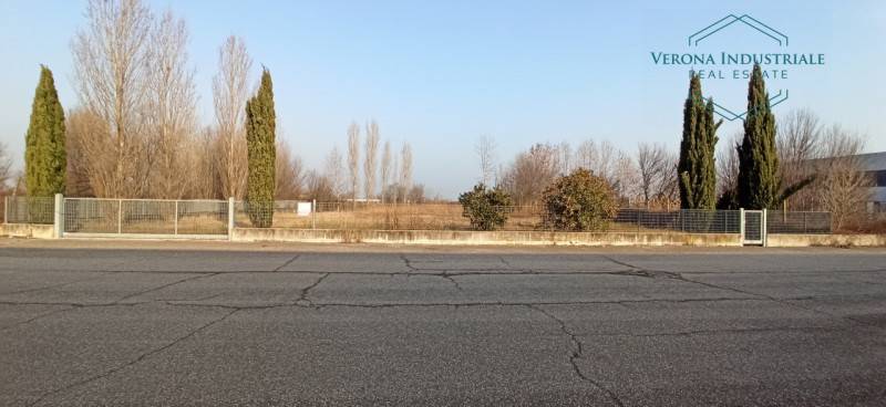 immagine annuncio 4 di 8