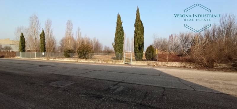 immagine annuncio 5 di 8