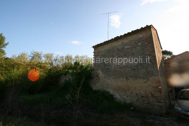 immagine annuncio 4 di 7