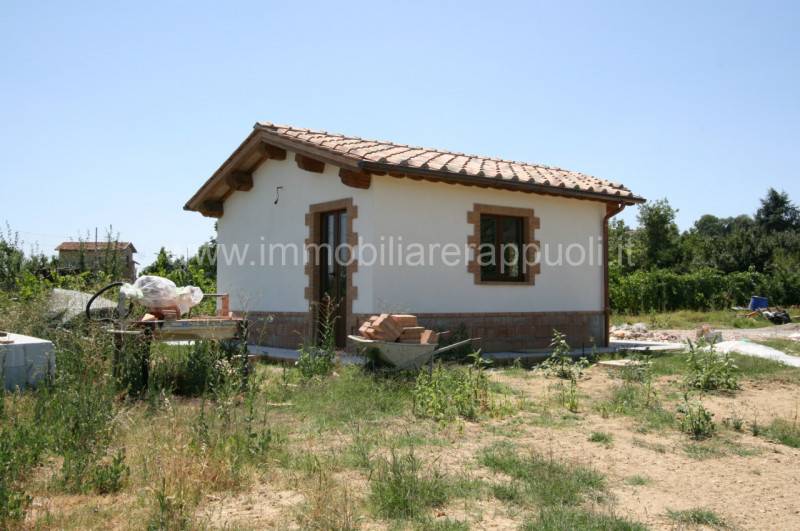 immagine annuncio 6 di 8