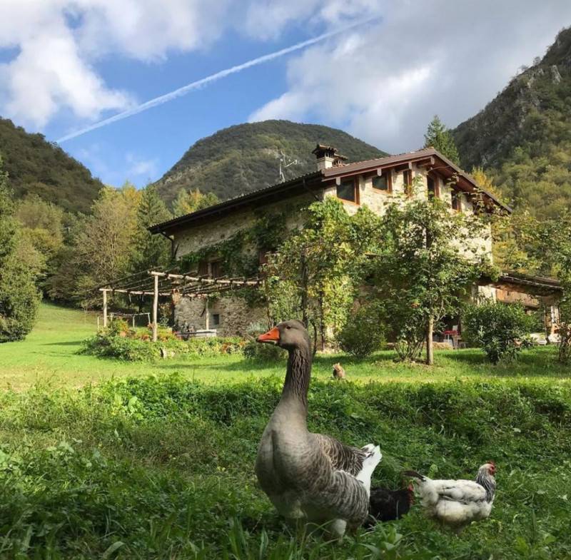 immagine annuncio 7 di 10