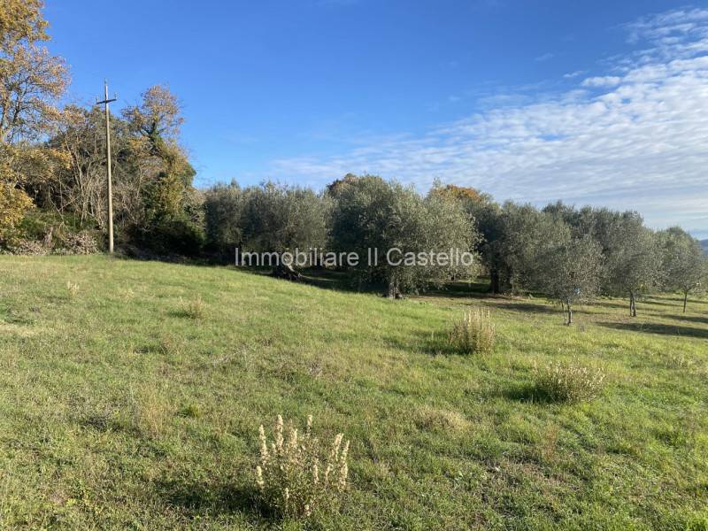immagine annuncio 2 di 7