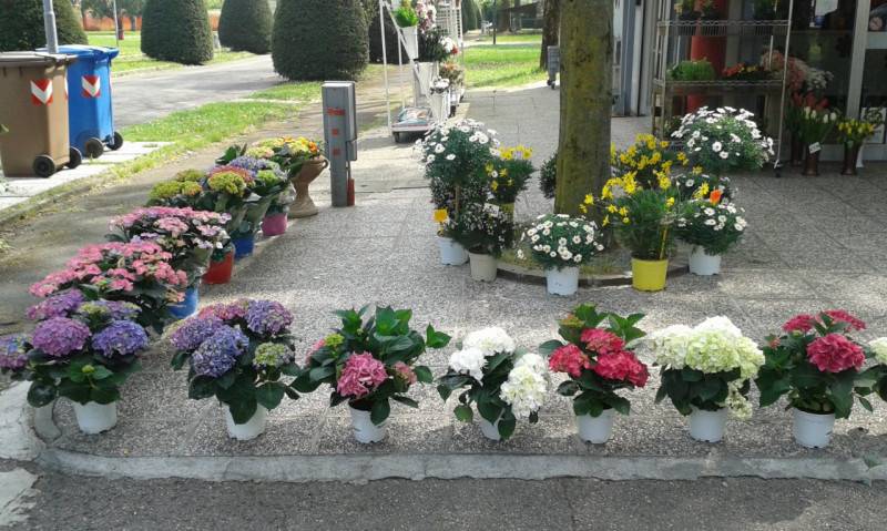 immagine annuncio 7 di 10
