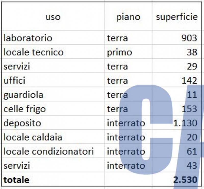 immagine annuncio 6 di 10