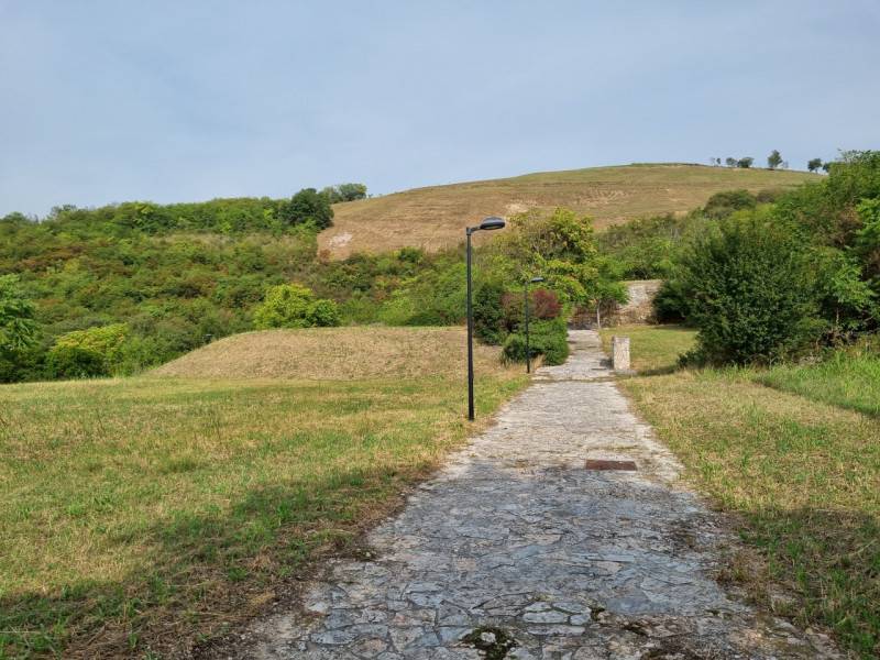 immagine annuncio 2 di 7