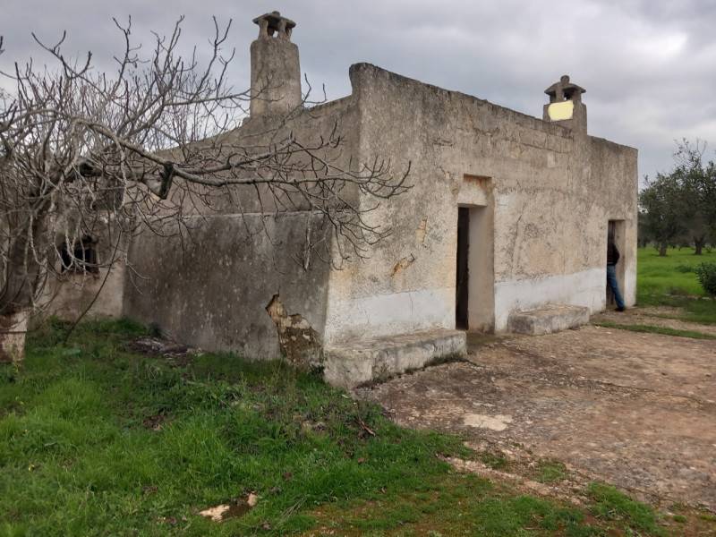 immagine annuncio 3 di 10