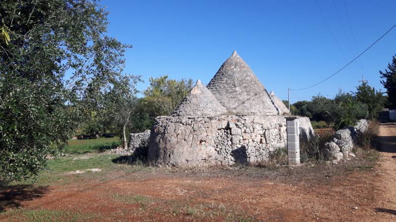 immagine annuncio 2 di 10