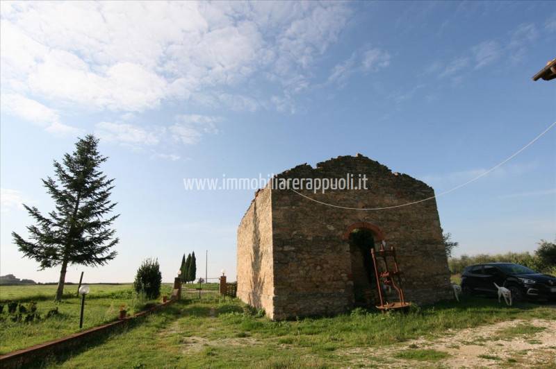 immagine annuncio 3 di 9