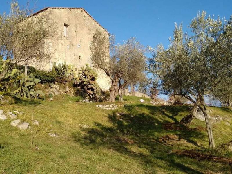 immagine annuncio 3 di 9