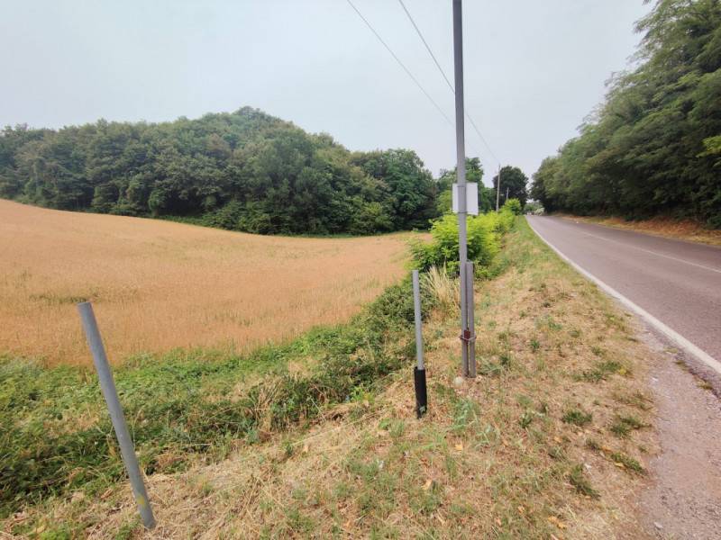 immagine annuncio 1 di 3