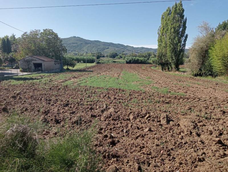 immagine annuncio 2 di 3