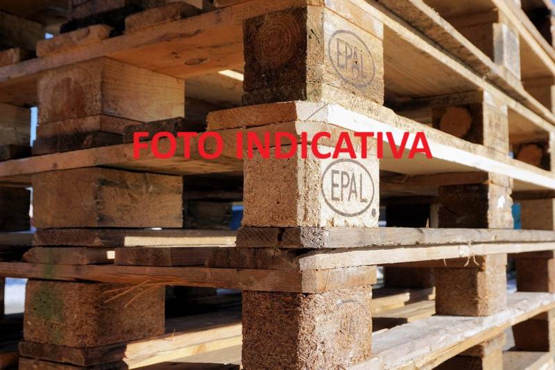 immagine annuncio 4 di 6