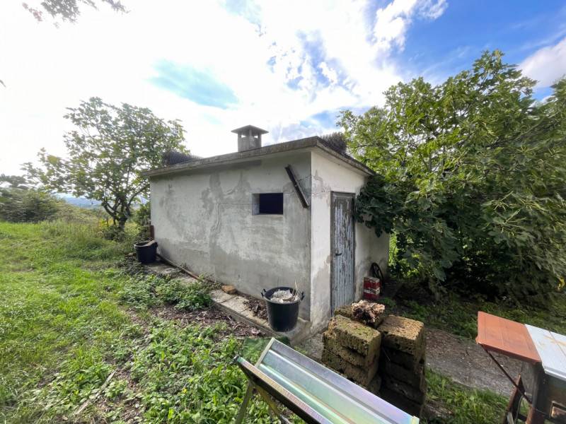 immagine annuncio 8 di 10