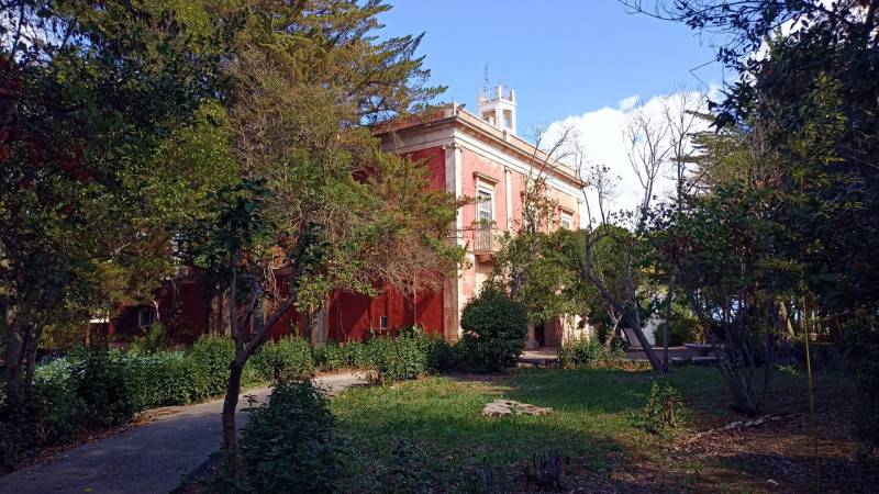 immagine annuncio 9 di 10