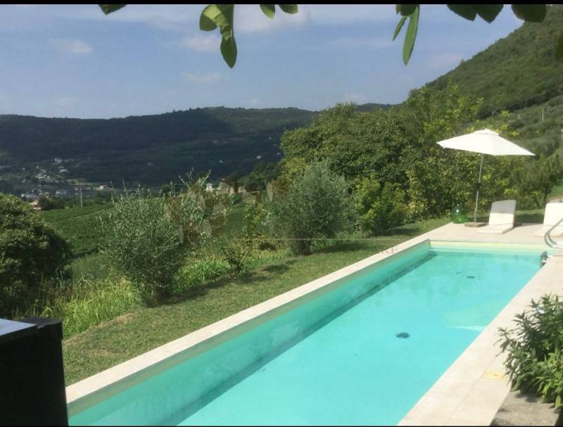 immagine annuncio 7 di 8