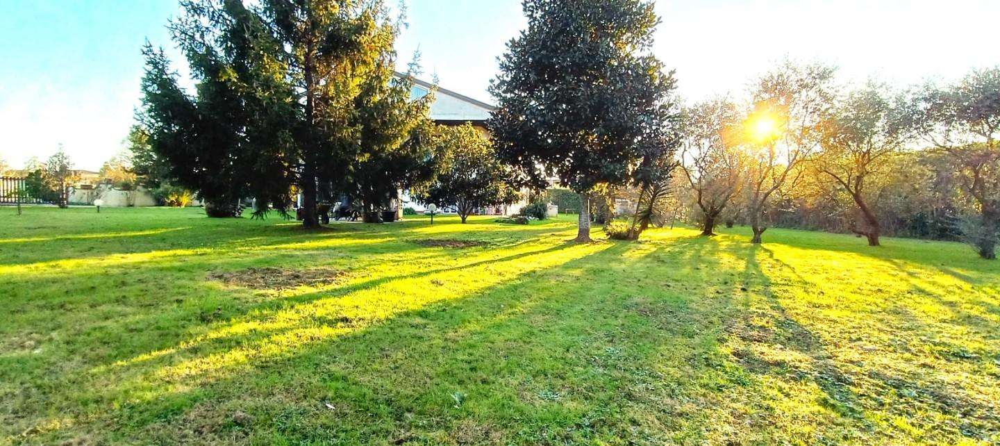  - foto 6