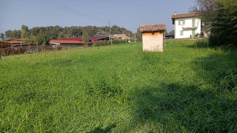 immagine annuncio 2 di 6