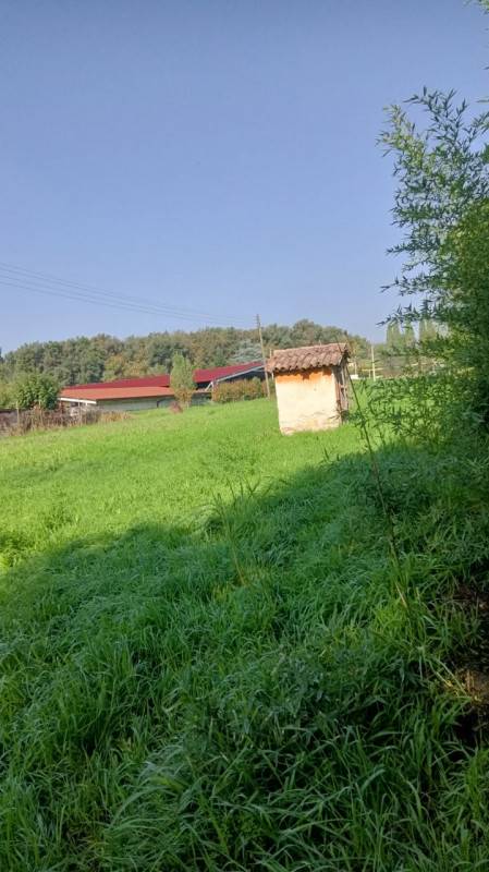 immagine annuncio 5 di 6