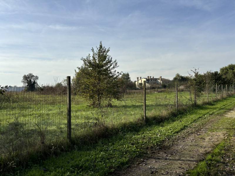 immagine annuncio 6 di 8