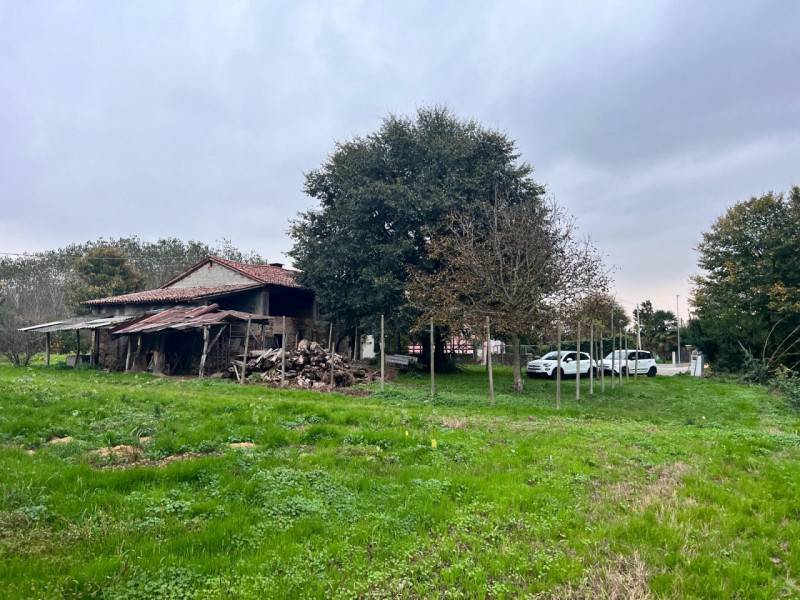 immagine annuncio 1 di 7