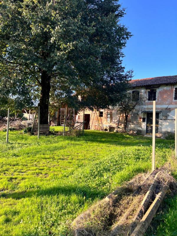 immagine annuncio 4 di 7