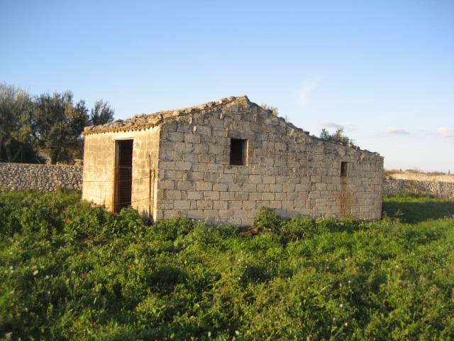 immagine annuncio 4 di 10