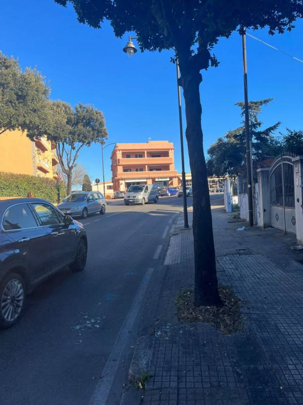 immagine annuncio 7 di 8