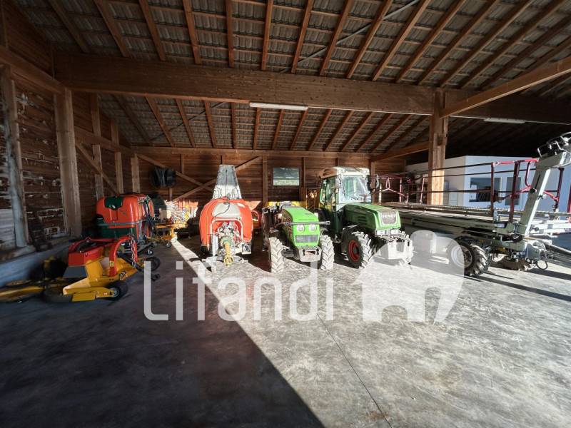 immagine annuncio 9 di 10