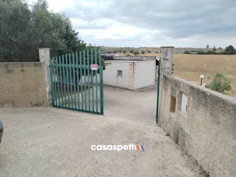 immagine annuncio 6 di 8