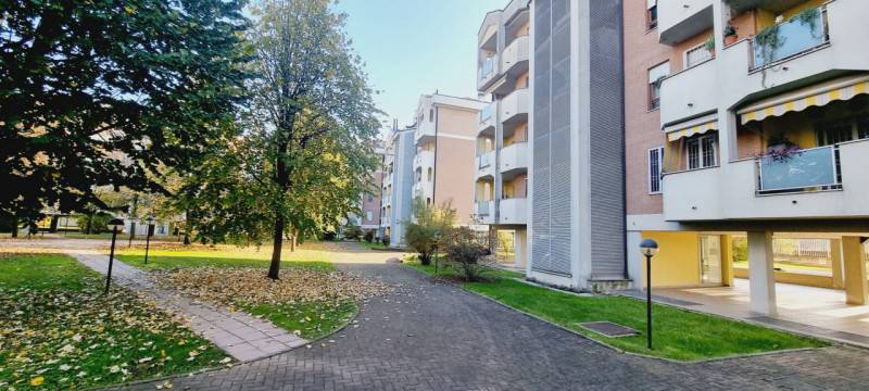immagine annuncio 3 di 10