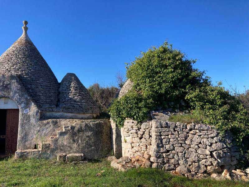 immagine annuncio 3 di 10