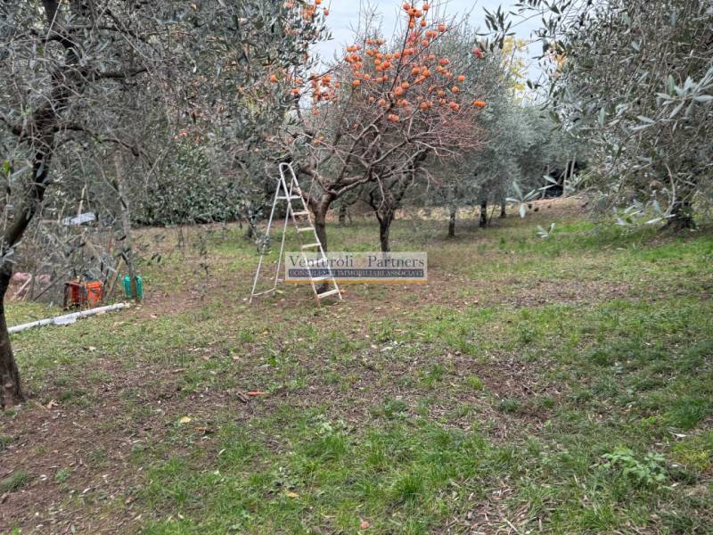 immagine annuncio 5 di 9