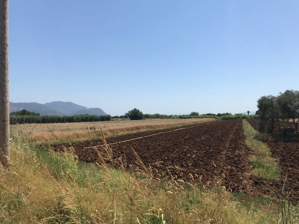 immagine annuncio 3 di 6