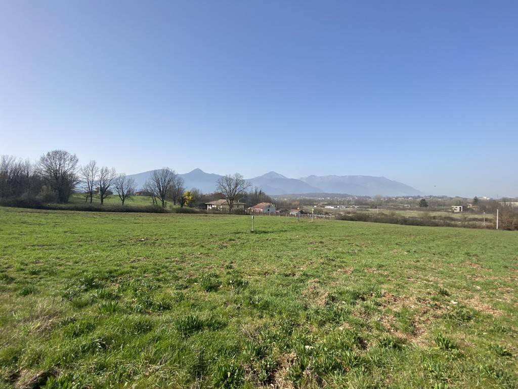 immagine annuncio 1 di 2