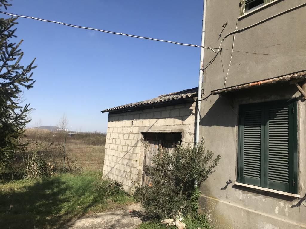 immagine annuncio 4 di 6