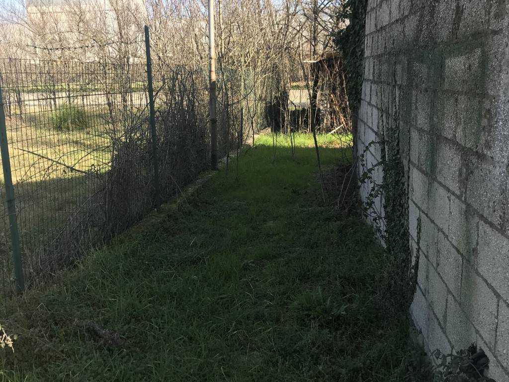 immagine annuncio 5 di 6