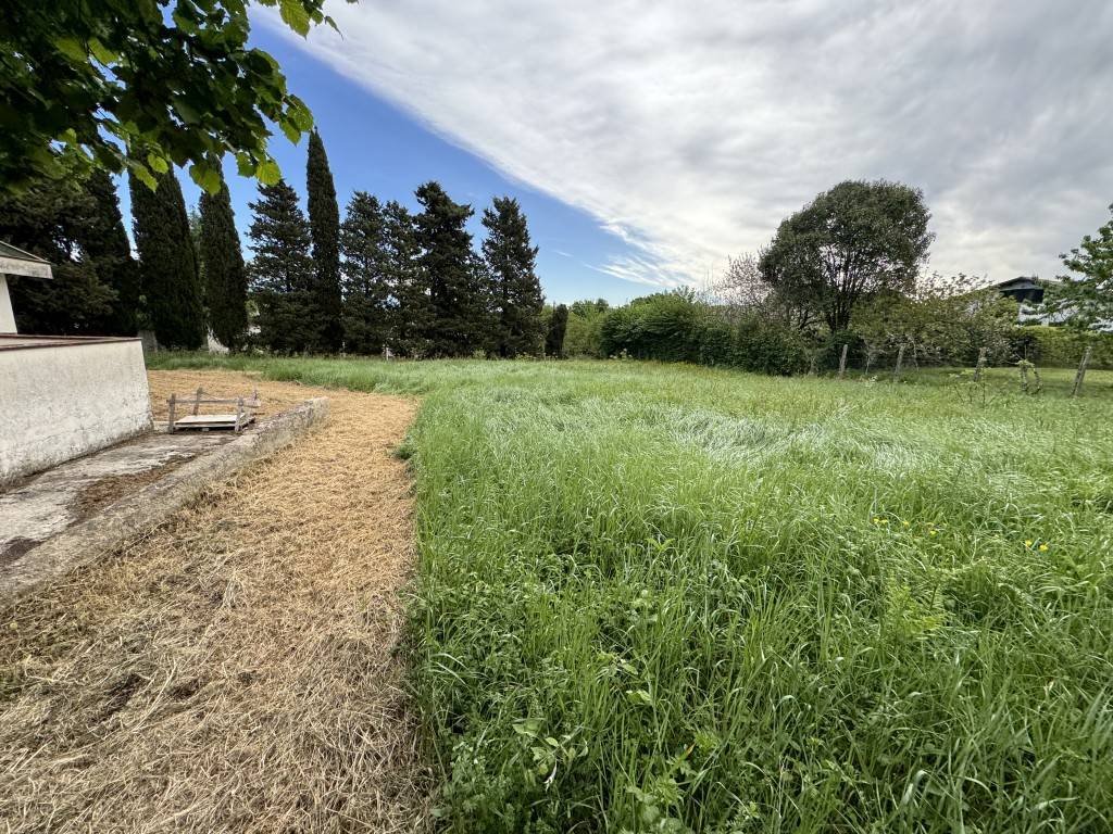 immagine annuncio 2 di 4