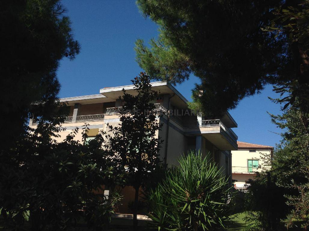 immagine annuncio 3 di 6