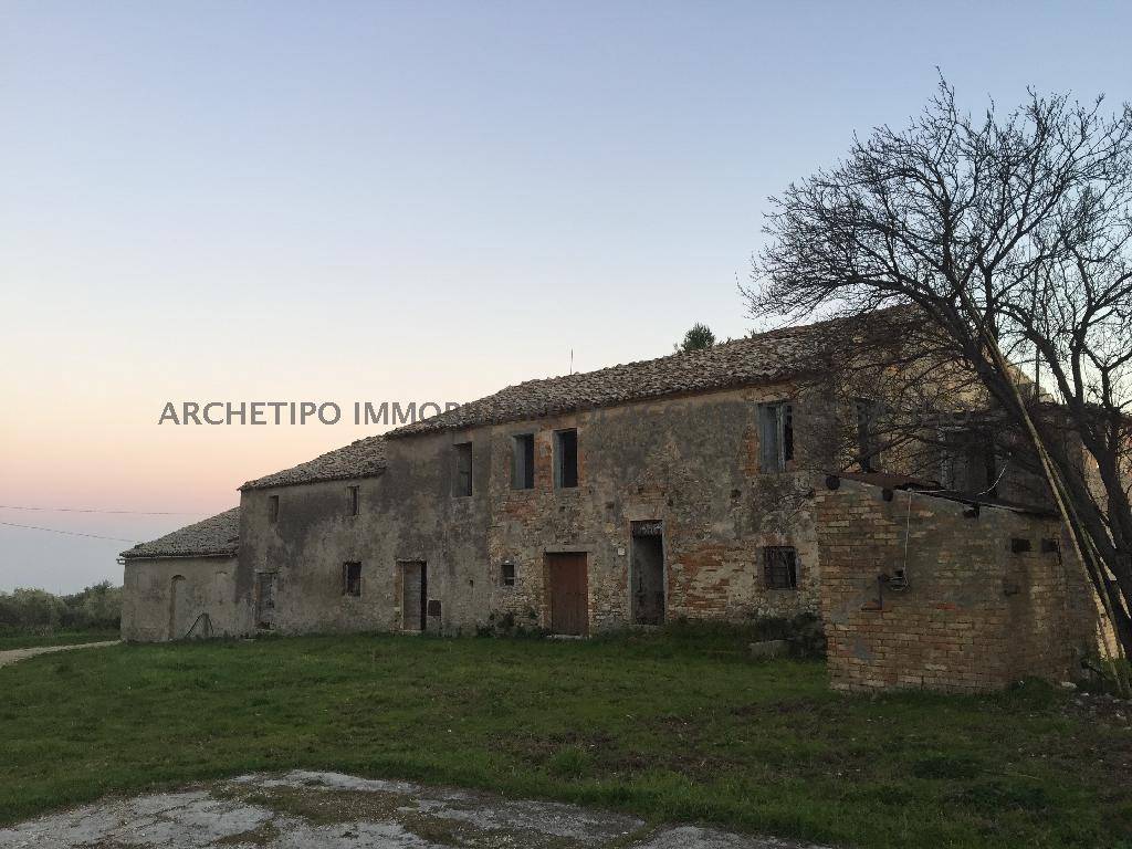 immagine annuncio 6 di 8