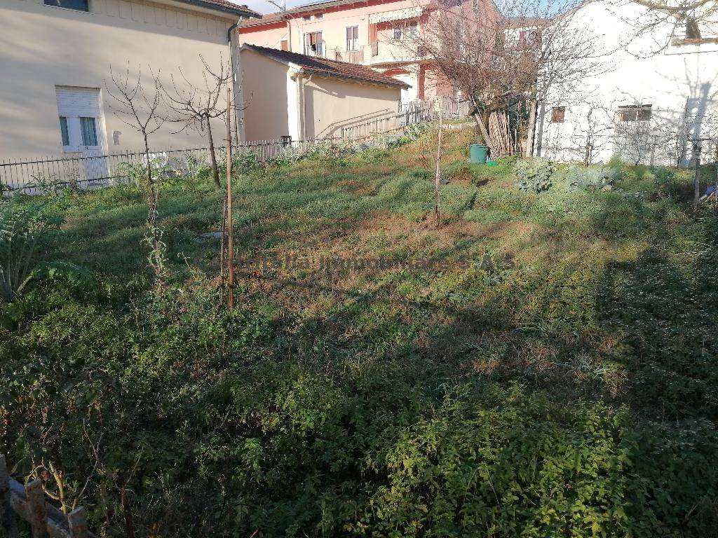 immagine annuncio 5 di 9