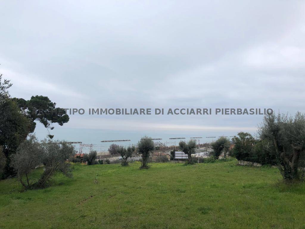 immagine annuncio 4 di 6