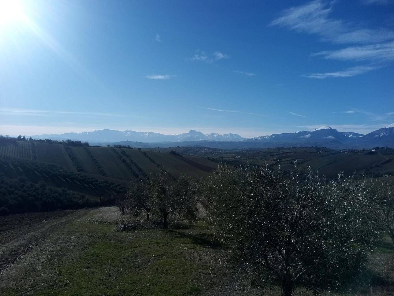 immagine annuncio 7 di 9