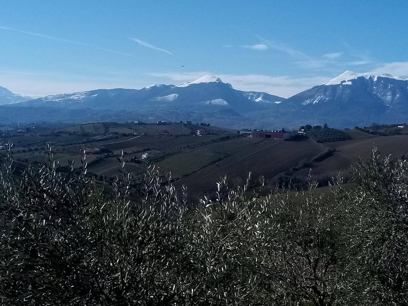 immagine annuncio 8 di 9