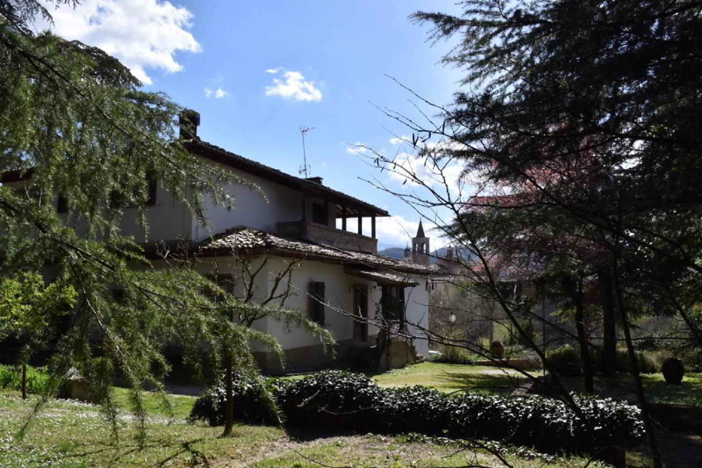 immagine annuncio 2 di 6